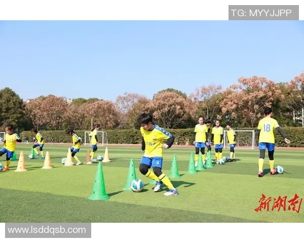 日本足球模仿之路探索与反思如何借鉴他国经验提升本土水平