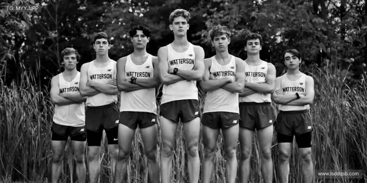 🎯精准定制,专属你的运动装备库!🔧